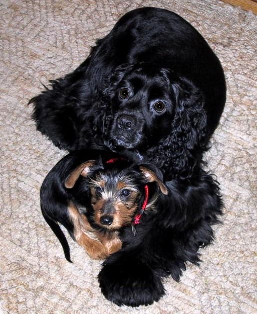 Chad & Holley